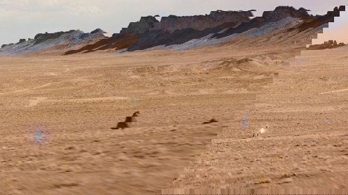 The Host (2013)