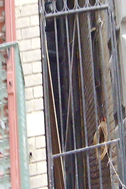 Mosco Street 2