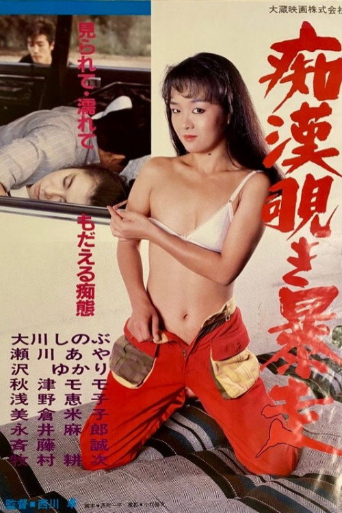痴漢覗き暴走
