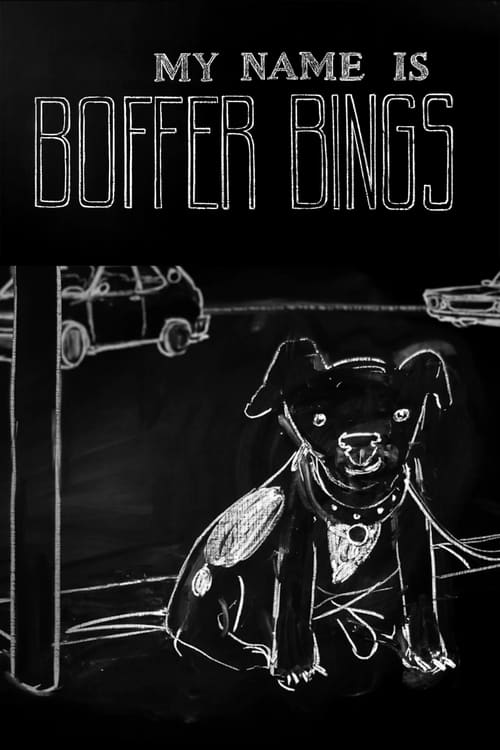 My Name Is Boffer Bings (2012) poster
