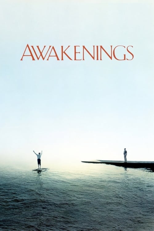Poster Image for Awakenings