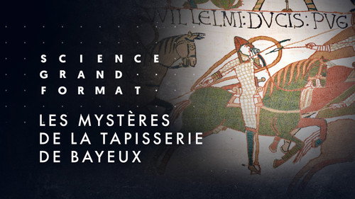 Image Les mystères de la tapisserie de Bayeux