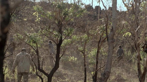 When the Dogs Talked