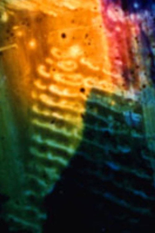 Patina (2001) poster