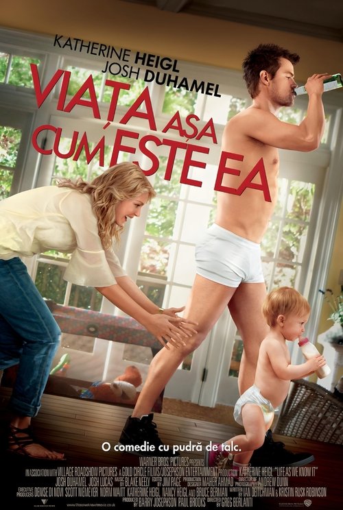 Poster pentru Viața așa cum este ea