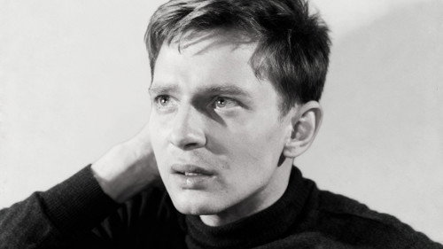 A Gift for a Warrior