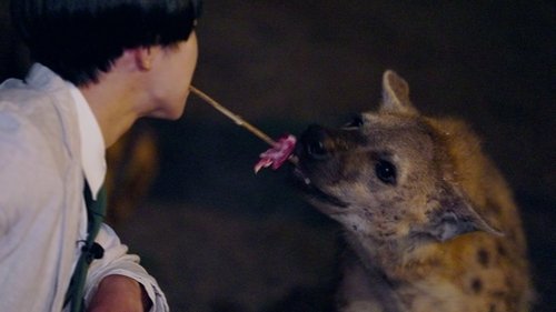 Image de l'épisode 15