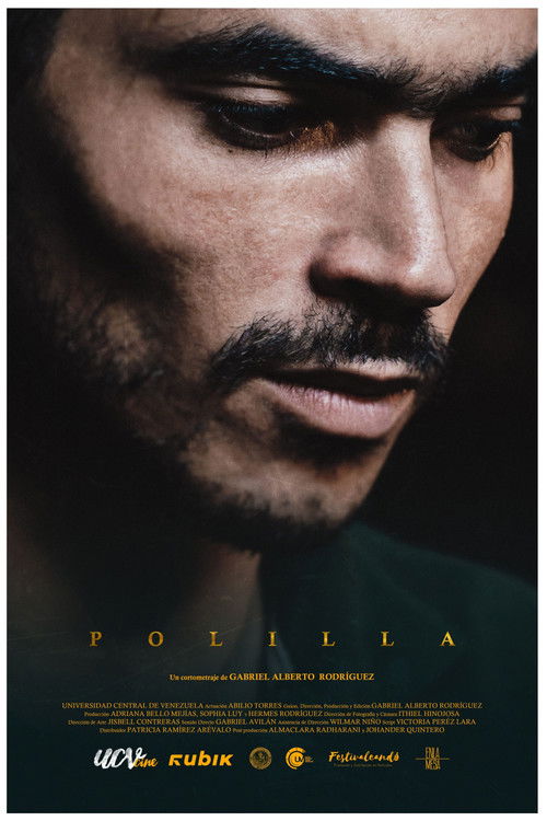 Polilla Poster