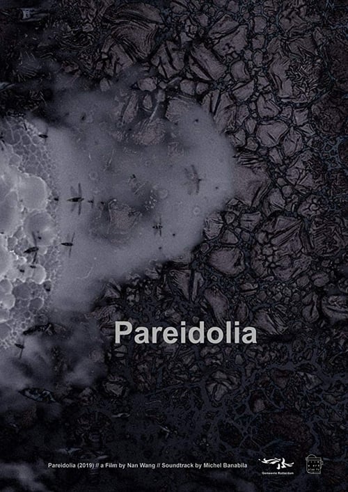 Pareidolia 2019