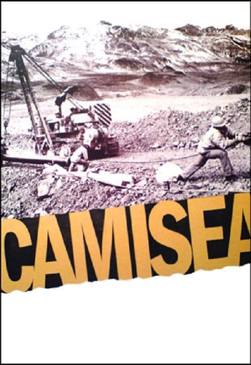 Camisea movie poster player