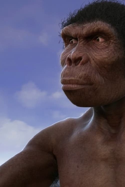 Evolution from ape to man (2017)