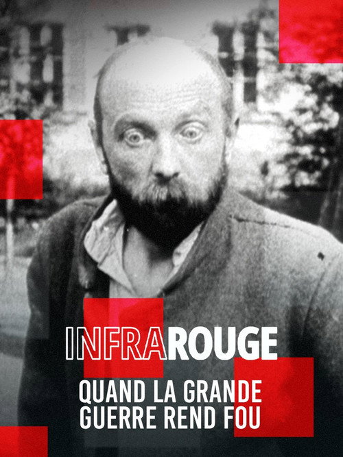 Quand la Grande Guerre rend fou