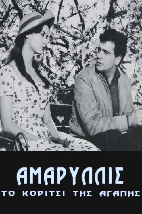 Poster Αμαρυλλίς 1959