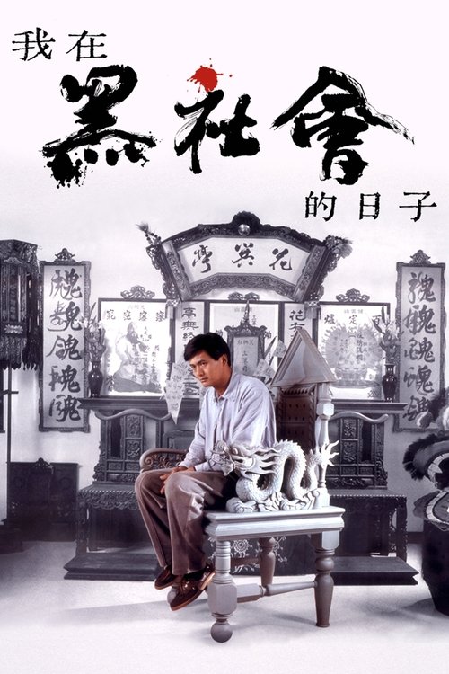 我在黑社会的日子