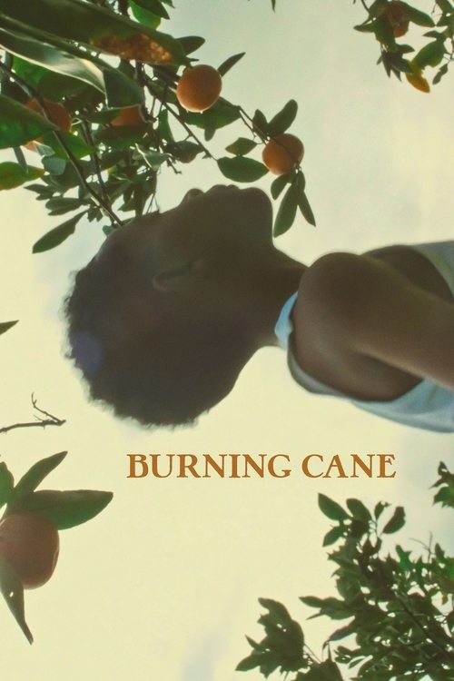 Grootschalige poster van Burning Cane