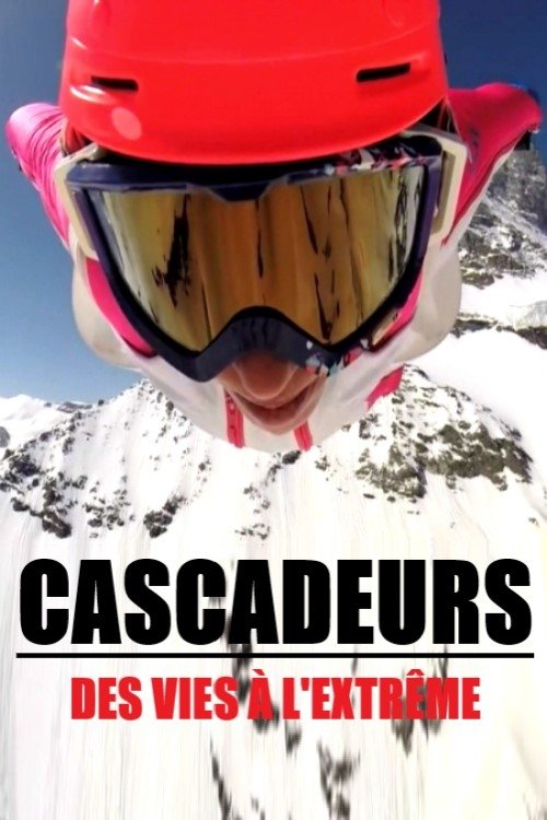 Cascadeurs, des vies à l'extrême (2017)