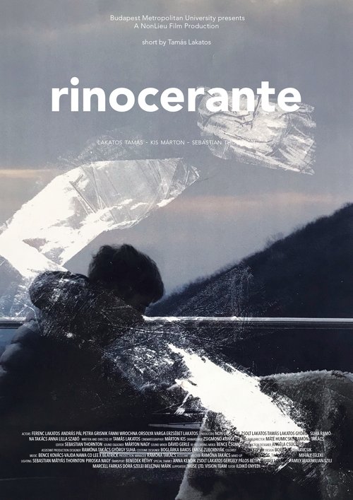 Rinocerante