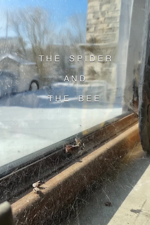 The Spider and the Bee