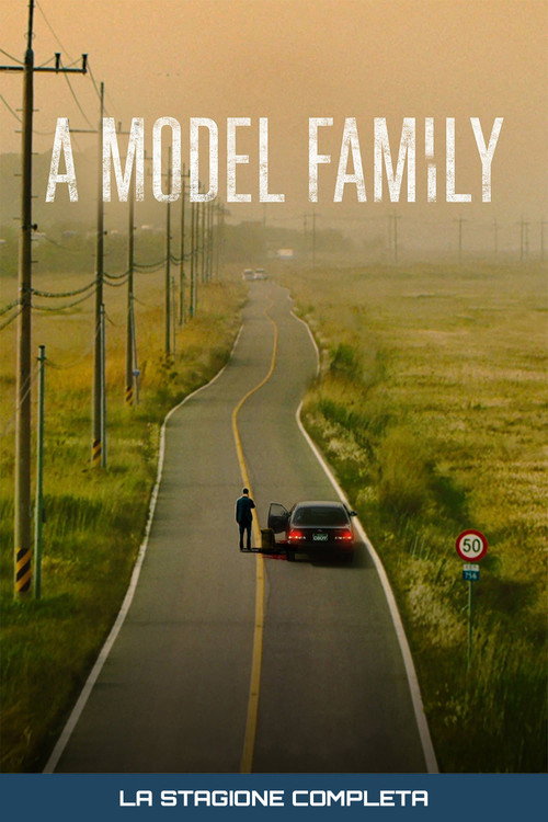 Locandina di A Model Family – Stagione 1