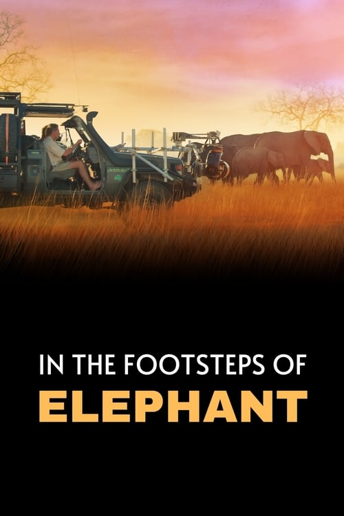 Poster In the Footsteps of Elephant 2020