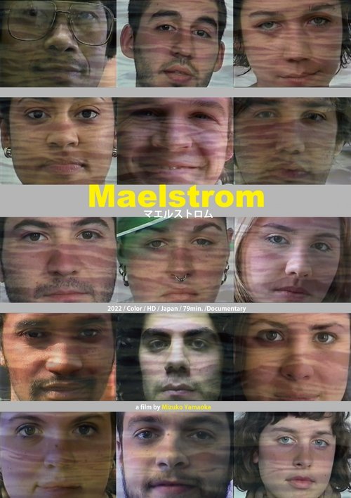 Maelstrom poster