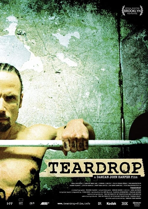 Teardrop 2011