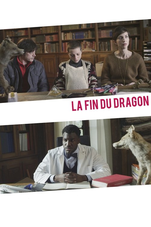 O Fim do Dragão movie poster player