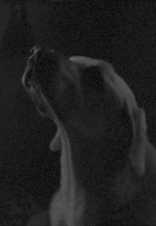 God Dog movie poster player