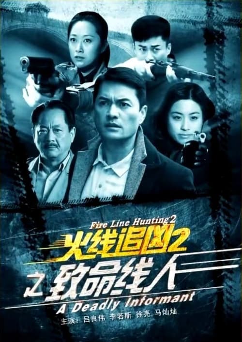 火线追凶2之致命线人 (2013)