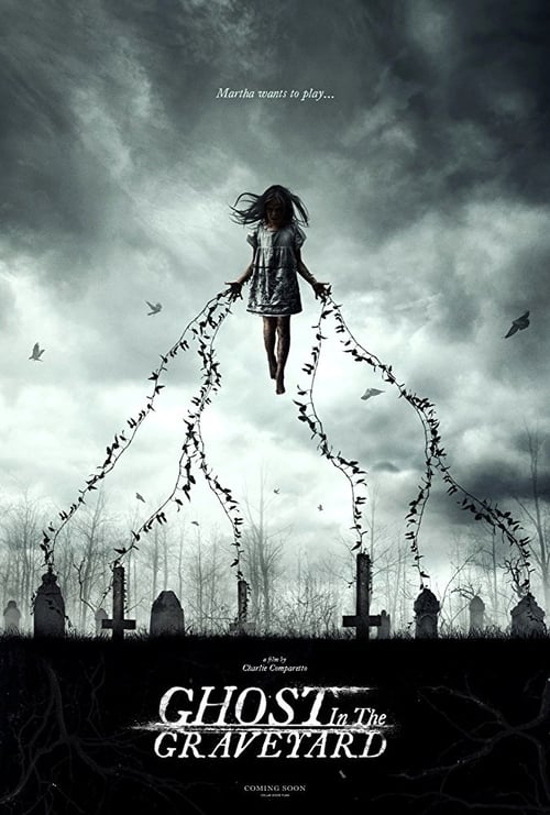 Poster 6