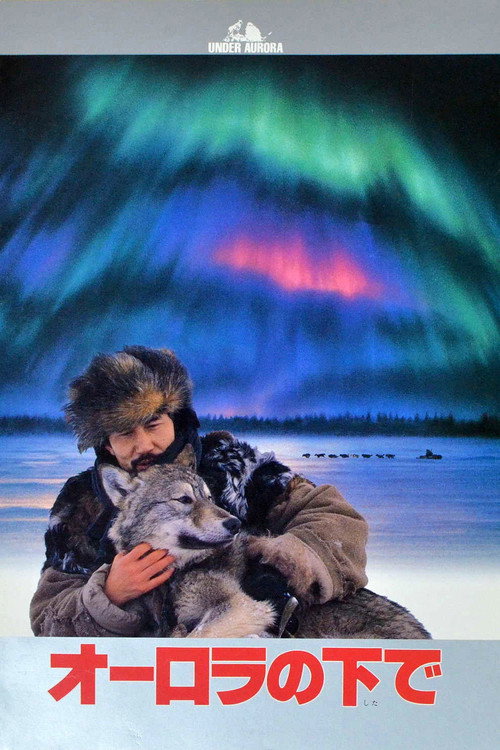 Aurora Borealis poster