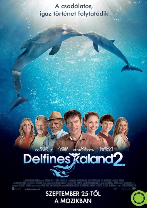 Delfines kaland 2. 2014