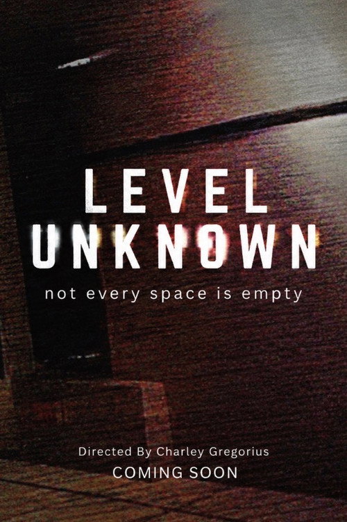 LEVEL UNKNOWN poster