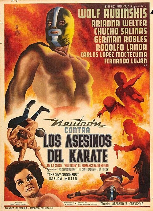 Neutron Battles the Karate Assassins Movie Poster Image