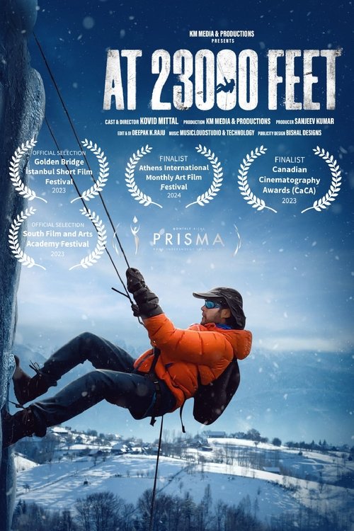 At 23000 Feet Poster
