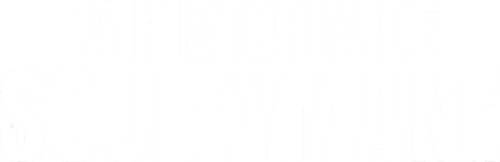 L'Histoire de Souleymane