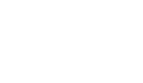 Mighty Raju