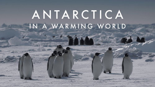 Antarctica in a Warming World