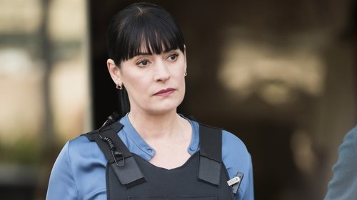 Mentes Criminosas: 13×16