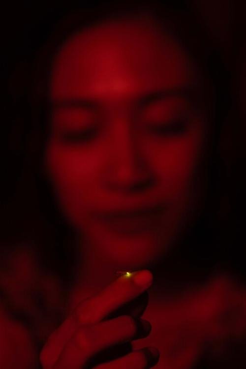 Return of the Fireflies poster