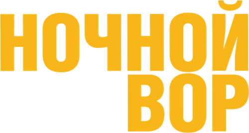 Ночной вор