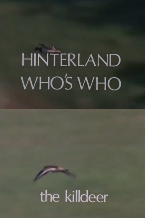 Hinterland Who's Who: Killdeer