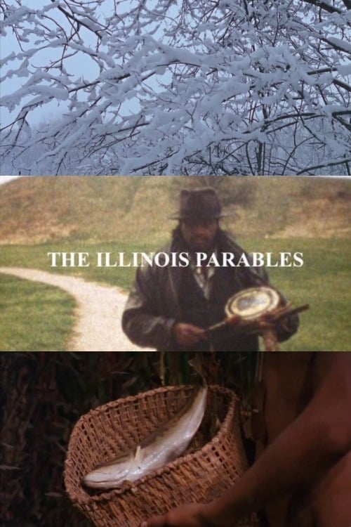 The Illinois Parables (2016) poster