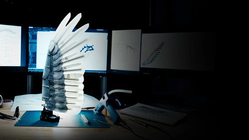 Le rêve de Léonard : Les secrets du vol dans la nature