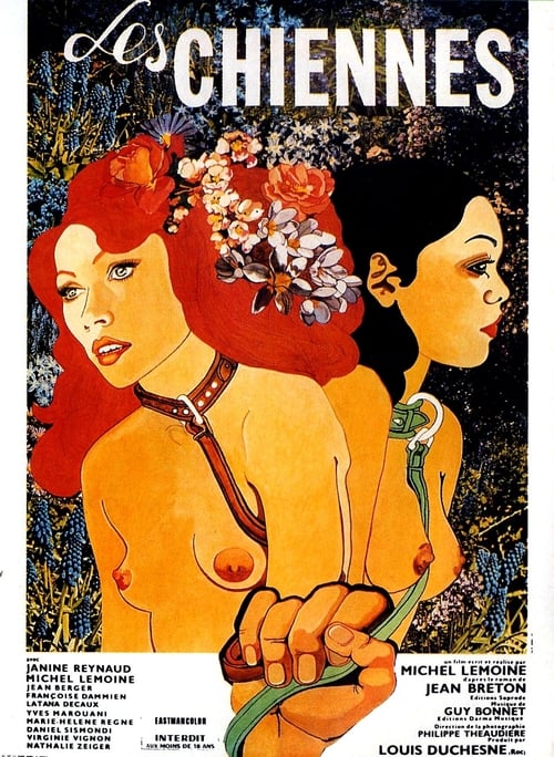 The Bitches (1973)