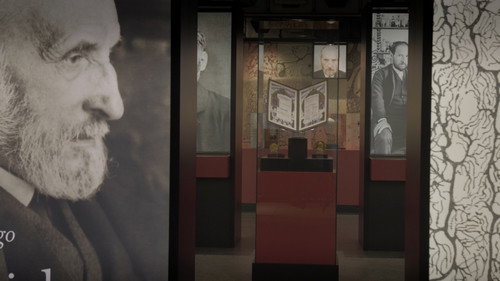 Ramón y Cajal: drawings on the retina