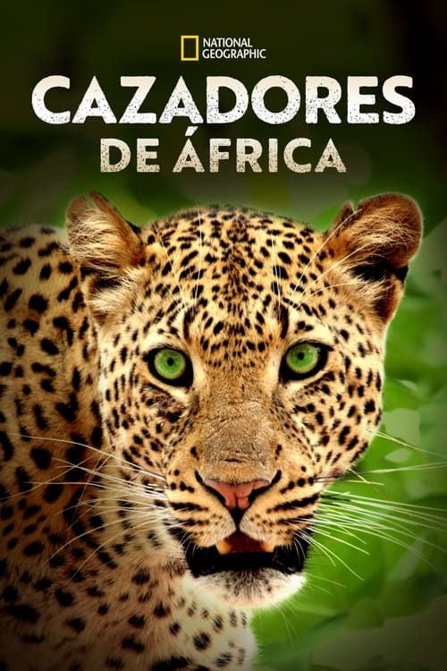 Cazadores de África poster