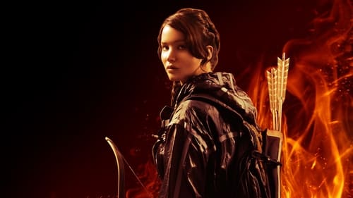 Download The Hunger Games 2012 Hindi Dual Audio 720p BluRay 1.1GB ...