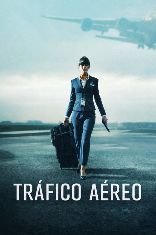 Tráfico aéreo
