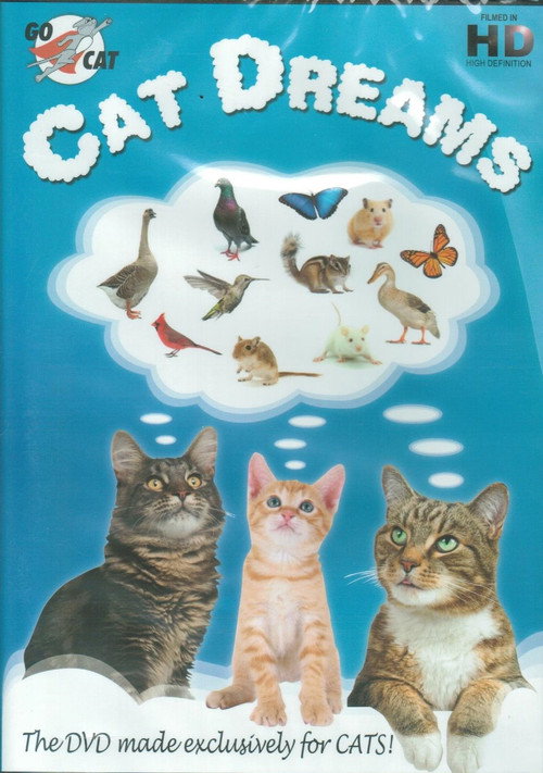 Cat Dreams